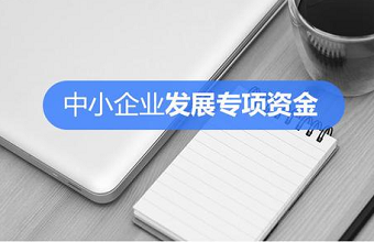 陕西省财政厅关于做好2021年省级中小企业发展专项资金中小企业服务体系建设项目申报工作的通知
