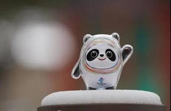 “冰墩墩”、、、、“雪容融”商标也抢手，，，已被成功注册！！